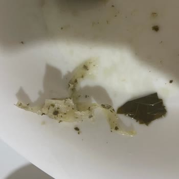 Tamek Hazır Yaprak Sarmadan Böcek ve Yabancı Madde Çıkması