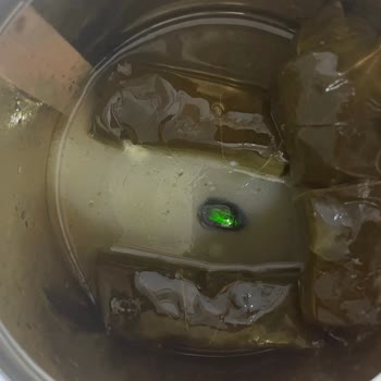 Tamek Hazır Yaprak Sarmadan Böcek ve Yabancı Madde Çıkması