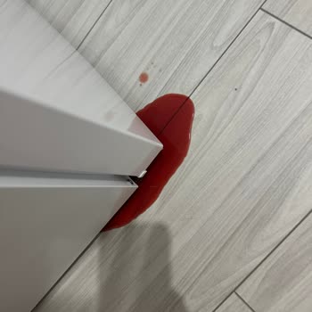 Bosch Derin Dondurucu Sık Sık Çalışmayı Durduruyor, Servis Çözüm Sunmuyor