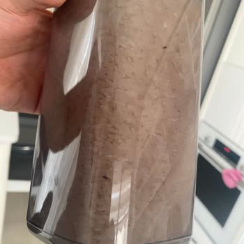 Aldığım Paketli Pirinçten Canlı Böcekler Çıktı