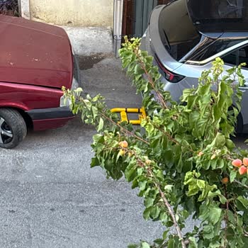 Garaj Kullanılamazlığı Ve Sokakta Park Sorunu Nedeniyle Yaşanan Mağduriyet