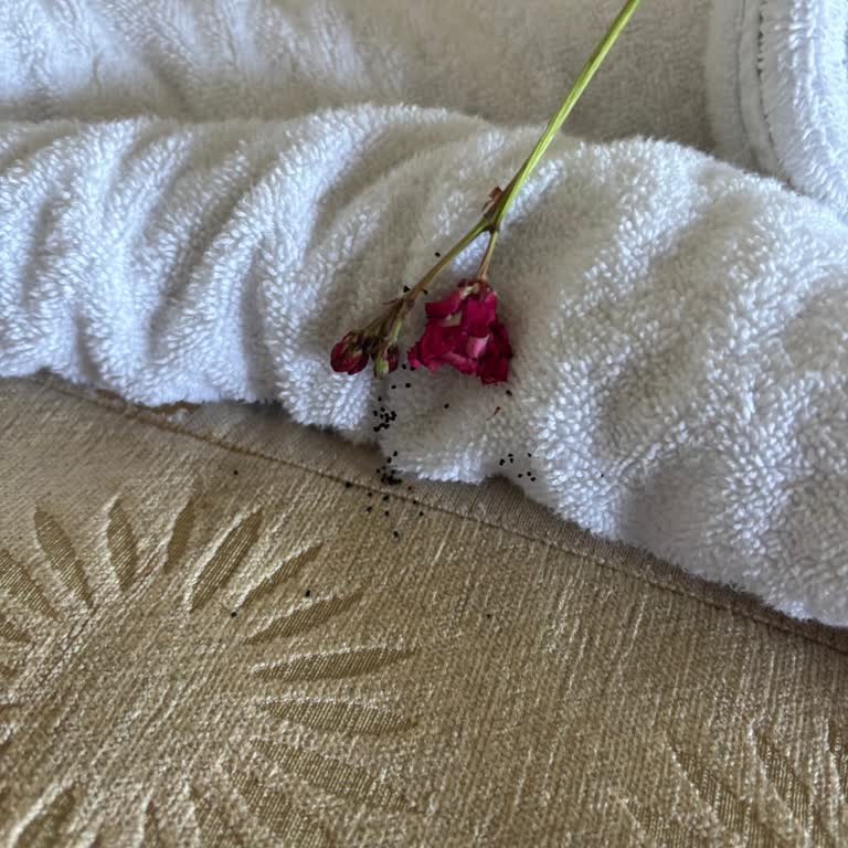 Tatilbudur Balayı Tatilinde Oda Temizliği Ve İlgisizlik Sorunu