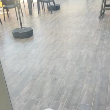 Karaburun Sosyal Tesislerinde Başıboş Kediler Ve Kapalı Havuz Hayal Kırıklığı Yarattı