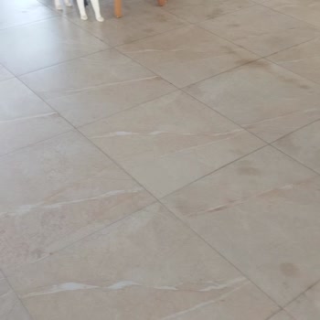 Karaburun Sosyal Tesislerinde Başıboş Kediler Ve Kapalı Havuz Hayal Kırıklığı Yarattı