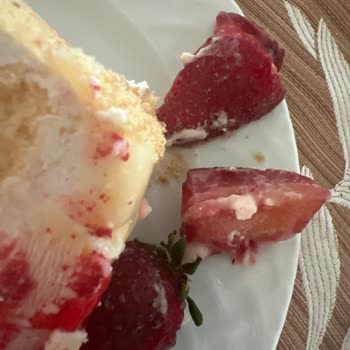 Zaher Pastanesi Ekşimiş Pasta!