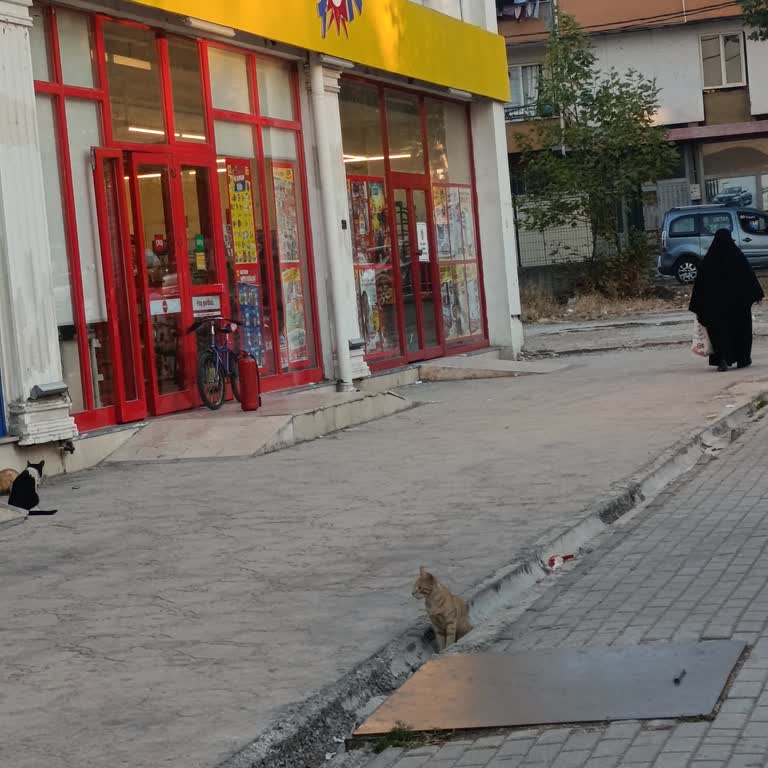 Şok Market'te Bozuk Klima Ve Kötü Koku Alışverişi Zorlaştırıyor