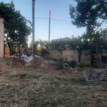 Bahçemdeki Elektrik Direği Evime Ve Ağaçlara Tehlike Oluşturuyor Çözüm Bekliyorum