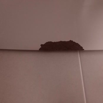 Bosch Çamaşır Makinesinde Boya Dökülmesi Ve Paslanma Şoku