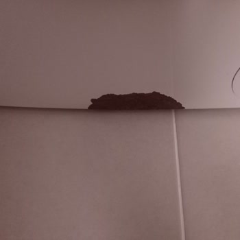 Bosch Çamaşır Makinesinde Boya Dökülmesi Ve Paslanma Şoku