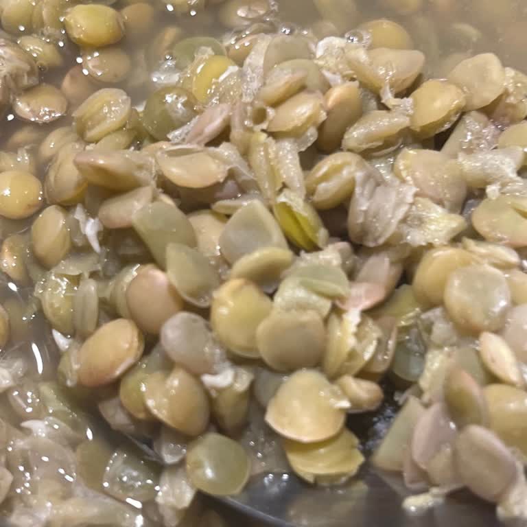 Duru Yeşil Mercimek Paketlerinde Filizlenme Sorunu