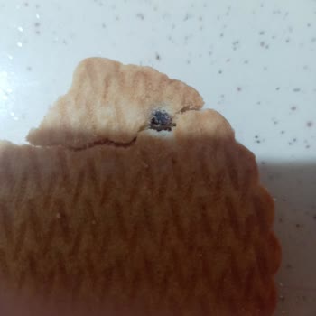 Eti Cin Çilekli Paketten Çıkan Siyah Cisim Güvenimi Sarstı