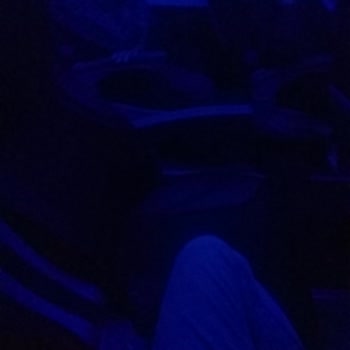 Şanlıurfa Cesur Turizm Boş Koltukta Oturmama İzin Verilmedi, Mağdur Edildim