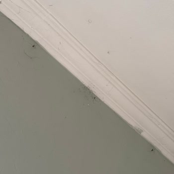 Efe Tur Ofisindeki Mescidin Temizlik Ve Düzen Eksikliği