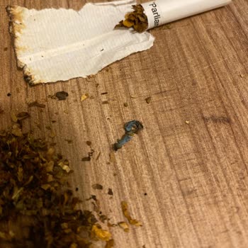 Parliament Night Blue Sigara Paketinden Yabancı Madde Çıkması