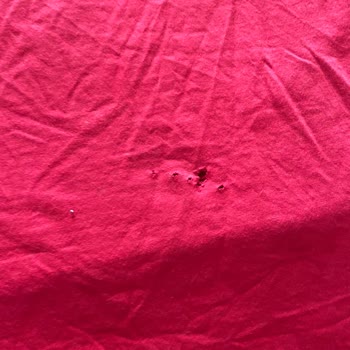 Beko Çamaşır Makinesi Eşyaları Yırtıyor, Servis Çözüm Sunmuyor