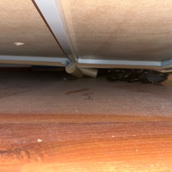 Aldığım Bazanın Sürekli Kırılması Ve Servis İlgisizliği