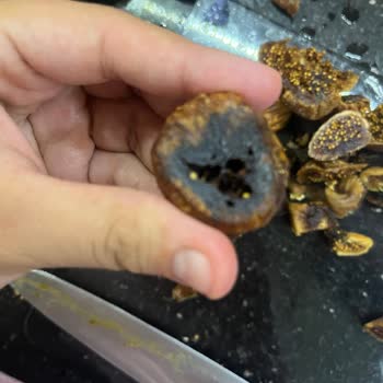 A101'den Aldığım Kuru İncirlerin Çoğu Bozuk Çıktı!