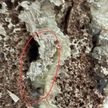 Aldığım Pastalarda Sürekli Çürük Muz Sorunu Yaşıyorum