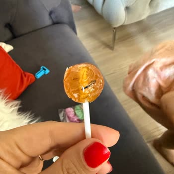 Toybox Yumurtadan Çıkan Üründe Hijyen Sorunu Ve Sağlık Endişesi