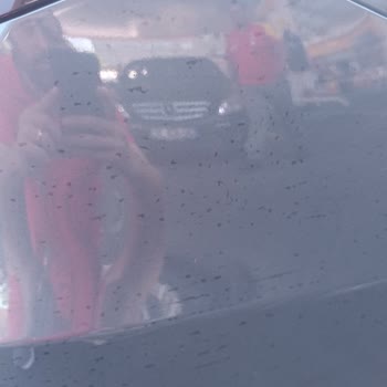 Fiat Egea Aracımda Oluşan Lekeler İçin Yetkili Servisten Tatmin Edici Yanıt Alamadım