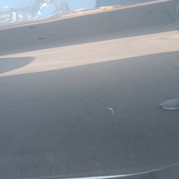 Fiat Egea Aracımda Oluşan Lekeler İçin Yetkili Servisten Tatmin Edici Yanıt Alamadım