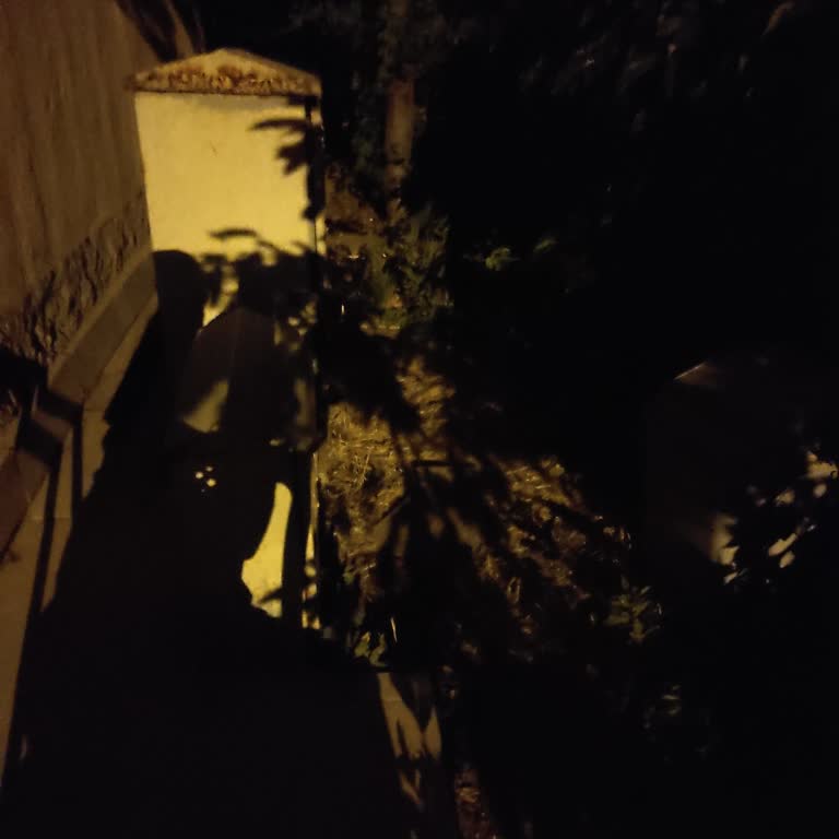 Ankara'nın Merkezinde Sürekli Elektrik Kesintisi Ve İlgisizlik