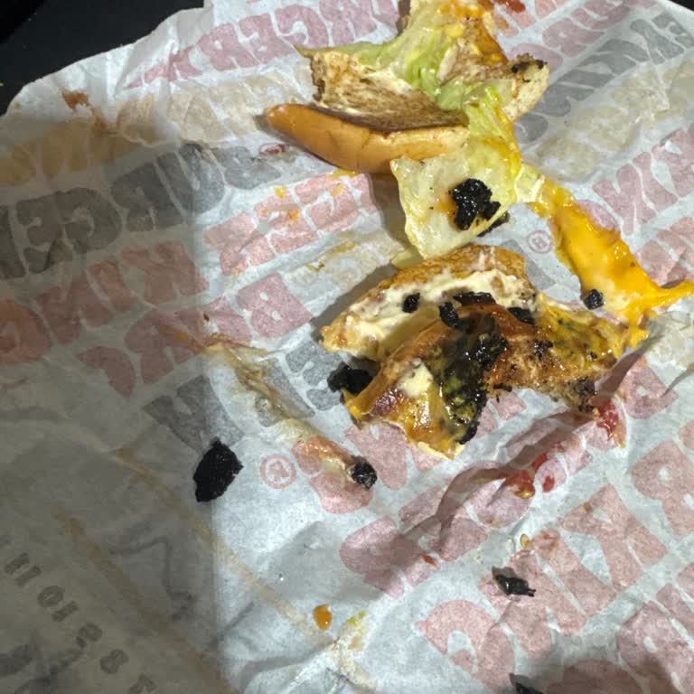 Siparişimdeki Hamburger Hem Kötü Kokuyordu Hem De Görüntüsü Farklıydı!