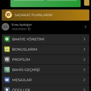 Çekim İşlemi Gerçekleştirilmeyen Yatırım Ve Lisans Sorunu