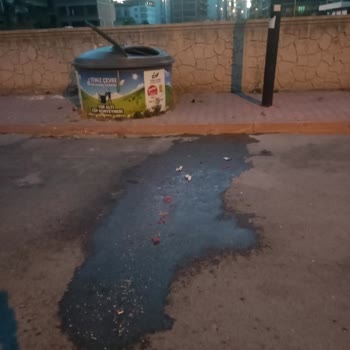 Karatay Belediyesi Çöp Ve Sineklerden Bıktık!