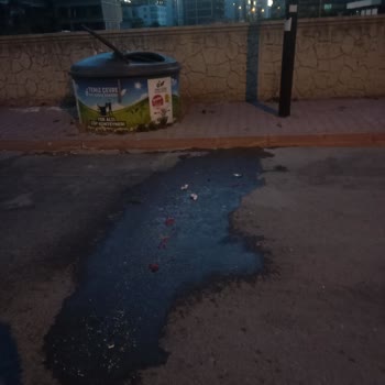 Karatay Belediyesi Çöp Ve Sineklerden Bıktık!