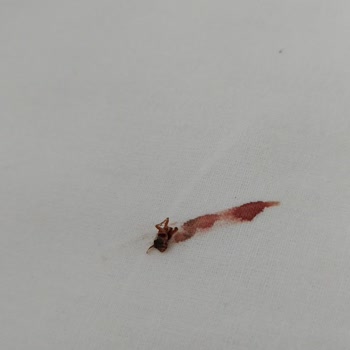 Gezi Life Turizm Hayatımızda Gördüğümüz En Pis Otelde Kaldık