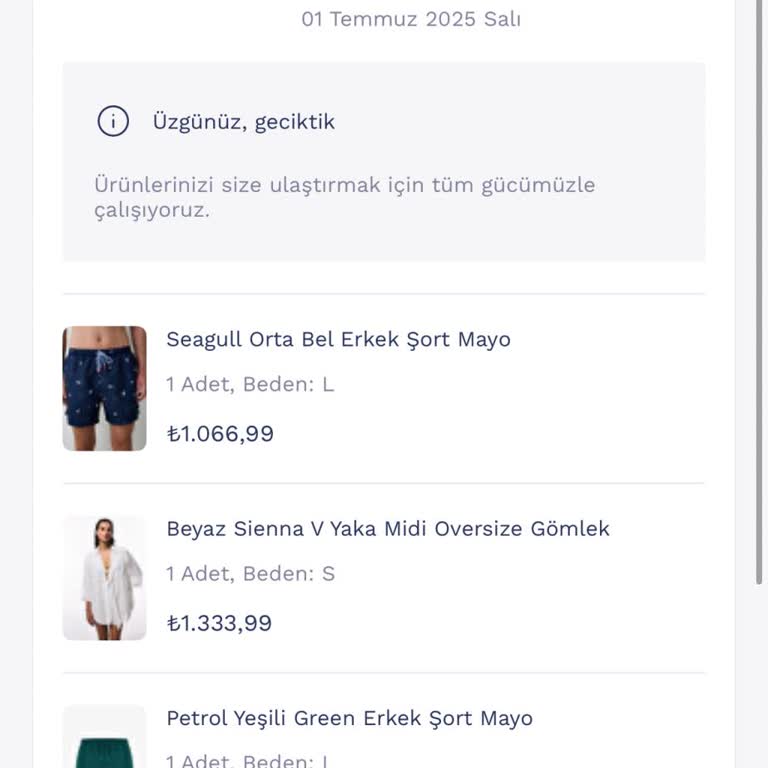 Siparişimin Teslimatı Gecikti, Müşteri Hizmetlerinden Çözüm Alamadım