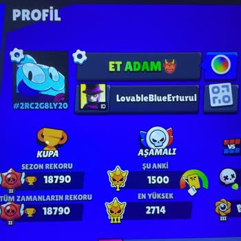 Satın Alınan Ürünler Oyun Hesabına Eklenmedi, Destek Yanıt Vermiyor