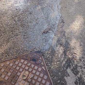 Eyüp'te İSKİ'nin İlgisizliği Ve Süregelen Lağım Kokusu Sorunu