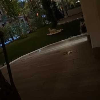 Zeray Mahal Kartepe'de Süregelen Elektrik Ve Hizmet Sorunları