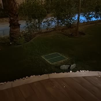 Zeray Mahal Kartepe'de Süregelen Elektrik Ve Hizmet Sorunları