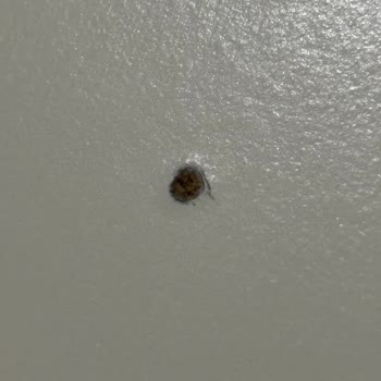 Bir Yılda Yüzeyi Soyulan Yemek Masası Hayal Kırıklığı