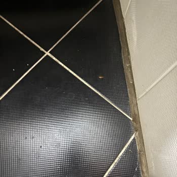 Oda Temizliği Ve Müşteri İlgisizliği Hakkında Şikayet