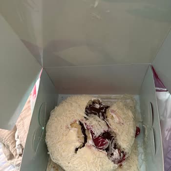 Parçalanmış Pasta Ve Yetersiz Müşteri Desteği Mağduriyeti