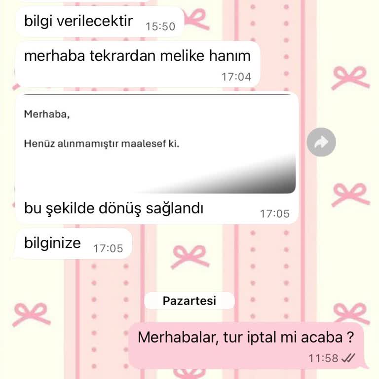 Vize Randevusu Ve Kur Farkı Nedeniyle Maddi Kayıp Yaşadım, Jolly Tur'dan Memnun Kalmadım