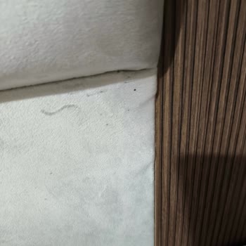 Teslimat Sorunu, Ek Ücret Ve Hijyen Problemleriyle Hayal Kırıklığı