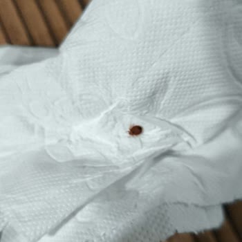 Teslimat Sorunu, Ek Ücret Ve Hijyen Problemleriyle Hayal Kırıklığı