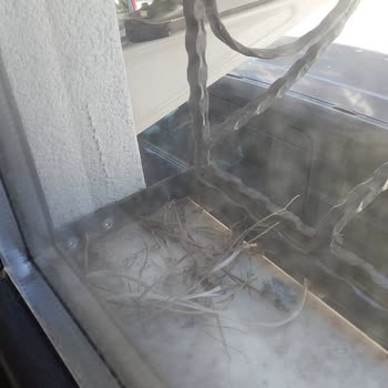 Yanlış Klima Montajı Nedeniyle Cam Önü Tamamen Kapandı, Çözüm Bekliyorum