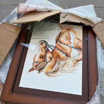 Sürat Kargo  Hem Teslim Edilmedi Hem de Kırıldı, Şikayet Formu da Çalışmıyor!