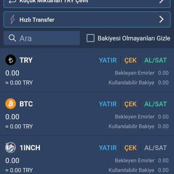 Hesabımda Bakiyem Ve Yatırımlarım Görünmüyor Çözüm Alamıyorum