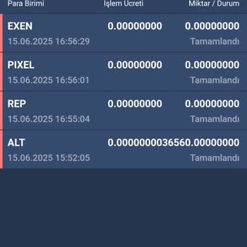 Hesabımda Bakiyem Ve Yatırımlarım Görünmüyor Çözüm Alamıyorum