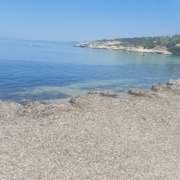 Ardıç Sahili'nde Temizlik Sorunu Ve 64. Sokakta Yol Mağduriyeti Çözülmüyor