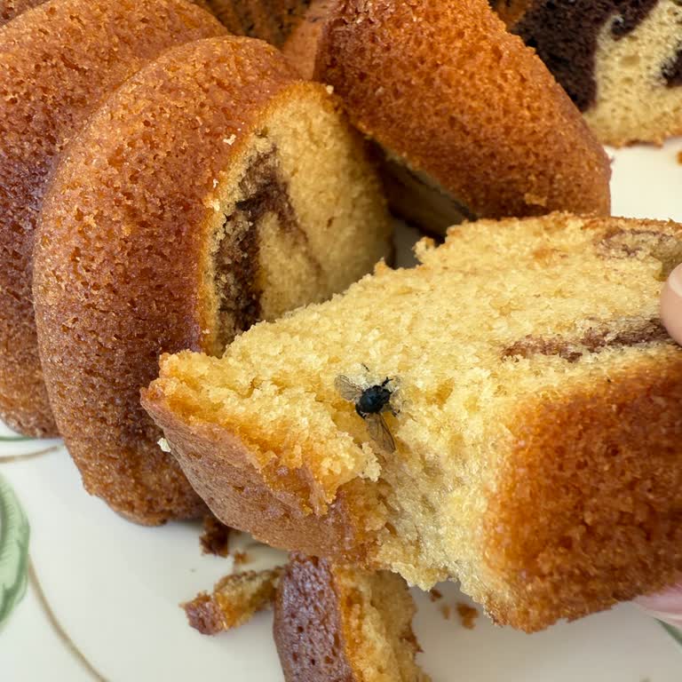 Samsu Börek Kekinde Sivrisinek Şoku: Hijyen Endişesi