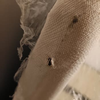 Modes Mobilya'dan Aldığım Ürünler Defolu Çıktı, İlgi Gösterilmiyor