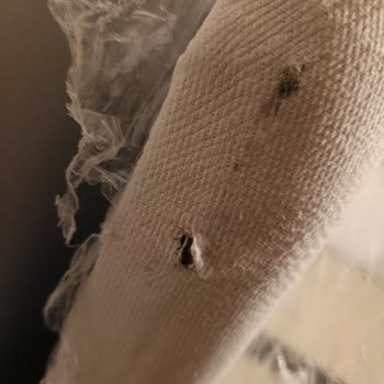 Modes Mobilya'dan Aldığım Ürünler Defolu Çıktı, İlgi Gösterilmiyor